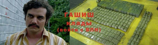 прущие грибы Армянск