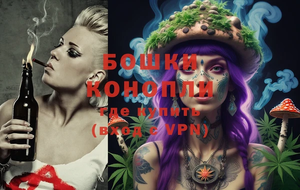 прущие грибы Армянск