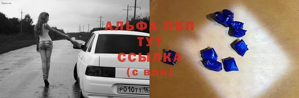 хмурый Алексин