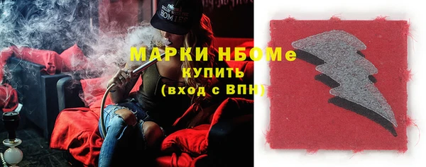 ECSTASY Богданович