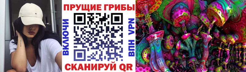 Псилоцибиновые грибы GOLDEN TEACHER как найти Юрьевец